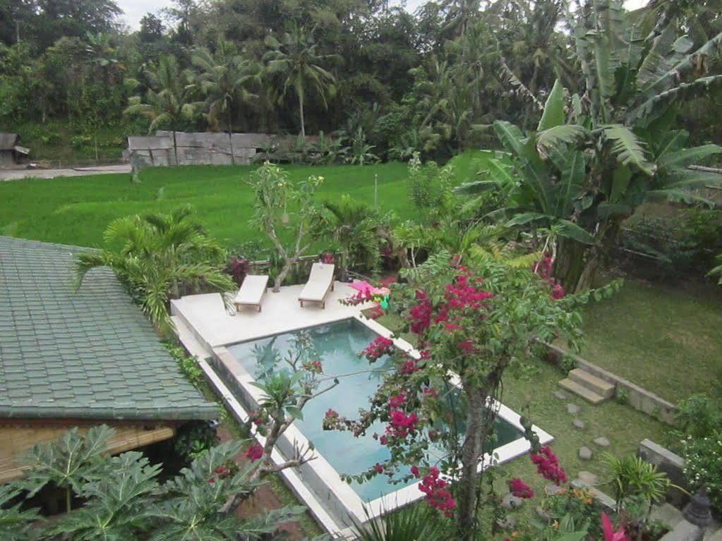 Villa Lumbung 우붓 외부 사진